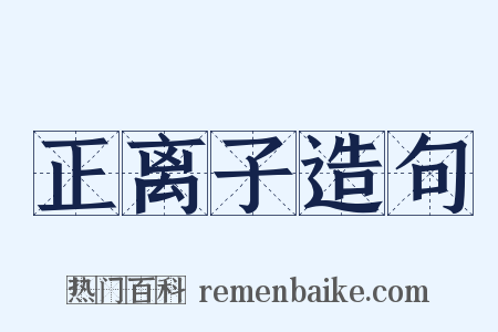 正离子造句是什么意思的图片